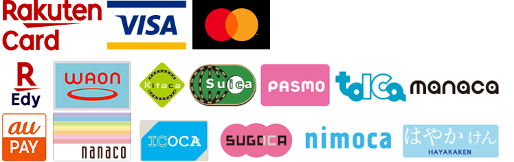 Visa,Mastercard,楽天カード,楽天Edy,nanaco,交通系電子マネー