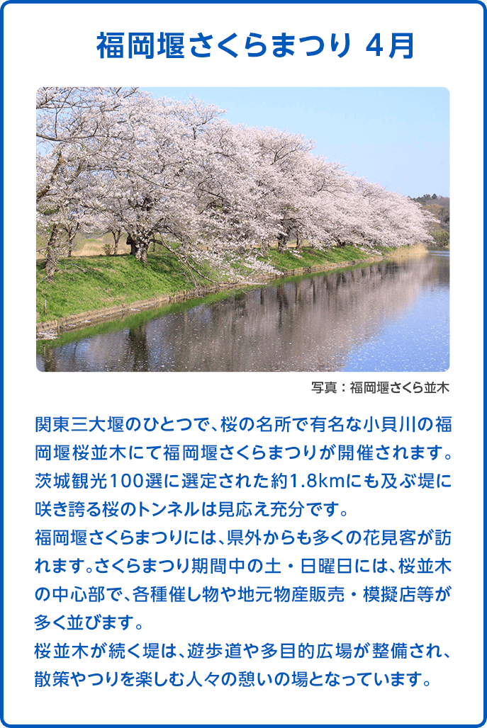 福岡堰さくらまつり 4月 (写真：福岡堰さくら並木) 関東三大堰のひとつで、桜の名所で有名な小貝川の福岡堰桜並木にて福岡堰さくらまつりが開催されます。 茨城観光１００選に選定された約1.8kmにも及ぶ堤に咲き誇る桜のトンネルは見応え充分です。福岡堰さくらまつりには、県外からも多くの花見客が訪れます。さくらまつり期間中の土・日曜日には、桜並木の中心部で、各種催し物や地元物産販売・模擬店等が多く並びます。 桜並木が続く堤は、遊歩道や多目的広場が整備され、散策やつりを楽しむ人々の憩いの場となっています。