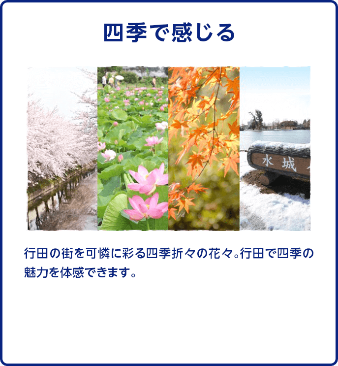 【四季で感じる】行田の街を可憐に彩る四季折々の花々。行田で四季の魅力を体感できます。