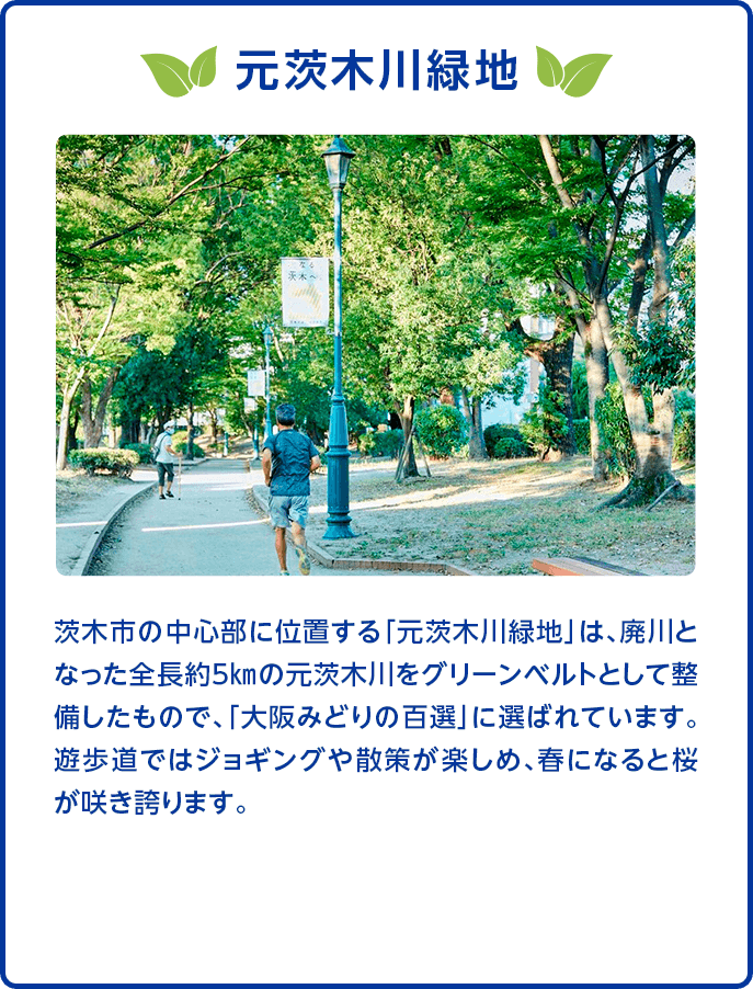 【元茨木川緑地】茨木市の中心部に位置する「元茨木川緑地」は、廃川となった全長約５㎞の元茨木川をグリーンベルトとして整備したもので、「大阪みどりの百選」に選ばれています。遊歩道ではジョギングや散策が楽しめ、春になると桜が咲き誇ります。